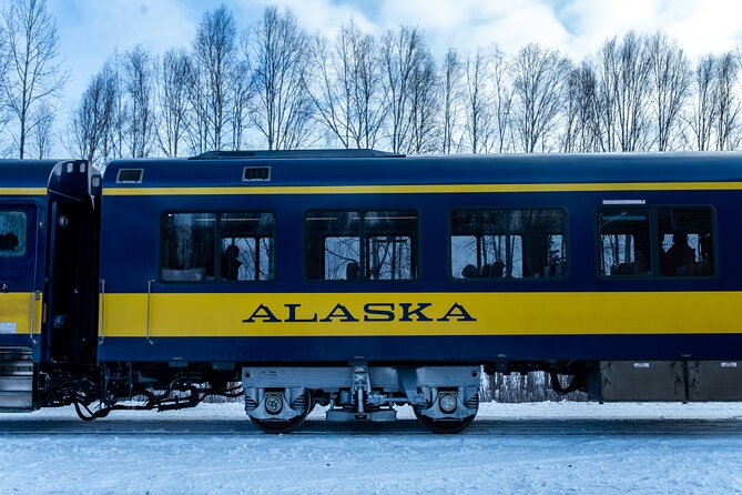 Alaska Railroad Aurora Winter Anchorage to Fairbanks One Way - Accessibility and Group Size