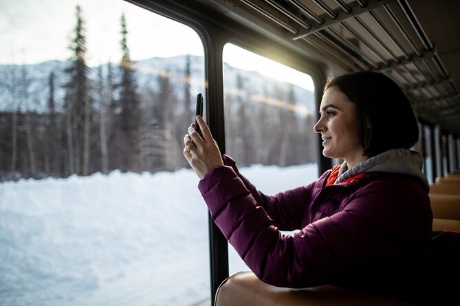 Alaska Railroad Aurora Winter Fairbanks to Anchorage One Way - Comfortable, Well-Equipped Railcars with Large Windows