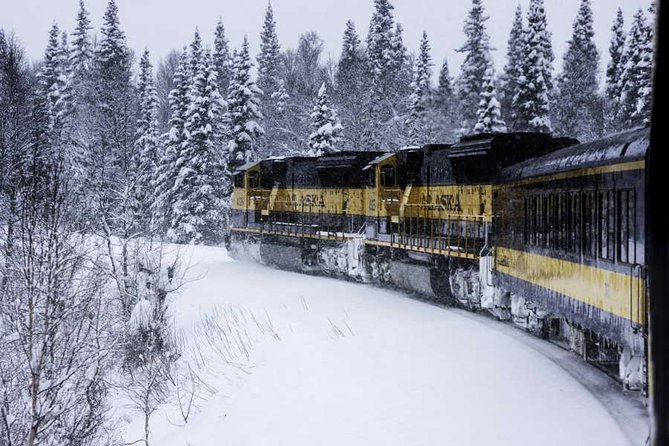 Alaska Railroad Aurora Winter Fairbanks to Anchorage One Way - Wildlife and Landscape Spotting Opportunities