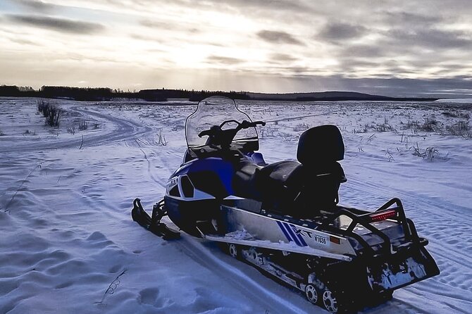 Alaska Snowmobile Adventure Tour - Safety, Group Size, and Weather Conditions