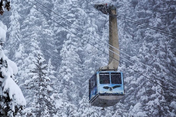 Alaska Wildlife Center and Turnagain Arm Tour w/Alyeska Tram - Physical Fitness and Accessibility Considerations