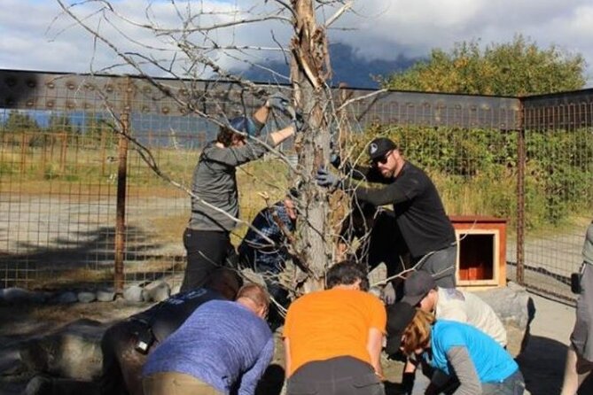 Alaska Wildlife Center and Turnagain Arm Tour w/Alyeska Tram - Clarifying the Trip Experience and Reviews