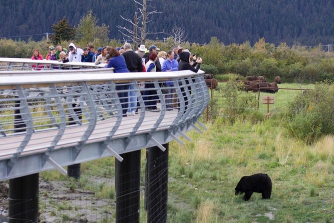 Alaska Wildlife Day Tour with Free Hotel Pickup - Accessibility and Practical Considerations