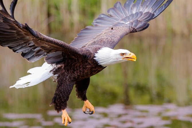 Alaska Wildlife Safari and Sightseeing Tour - Rotary Beach: Marine Life and Coastal Scenery