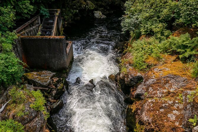 Alaska Wildlife Safari and Sightseeing Tour - Exploring Tlingit and Haida Heritage at Saxman Native Village