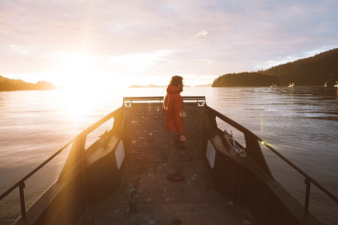 Alaska Wildlife Tour in Kachemak Bay - Wildlife Encounters: Whales, Otters, Eagles, and More