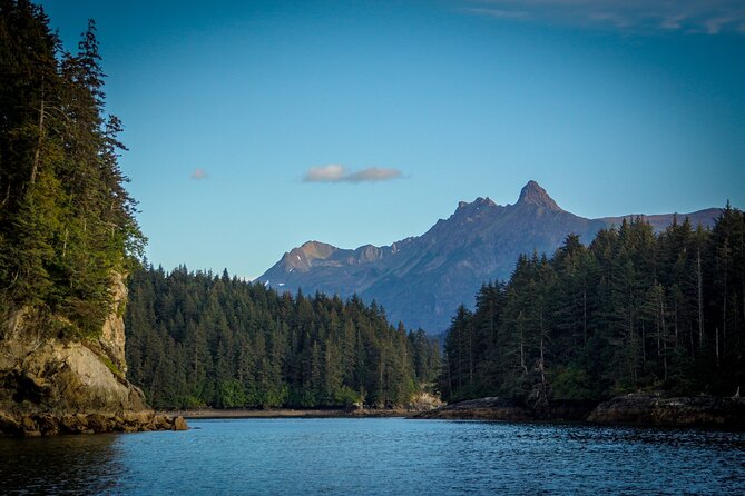 Alaska Wildlife Tour in Kachemak Bay - Logistics, Comfort, and Weather Considerations