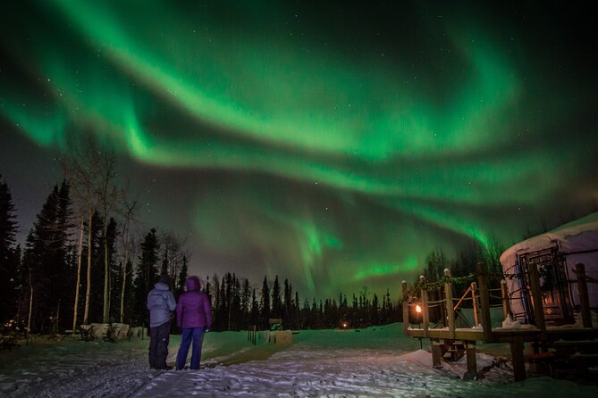 Alaskan Escape: Aurora Viewing & Dog Sledding Adventure Fairbanks - The Half-Hour Dog Sledding Adventure