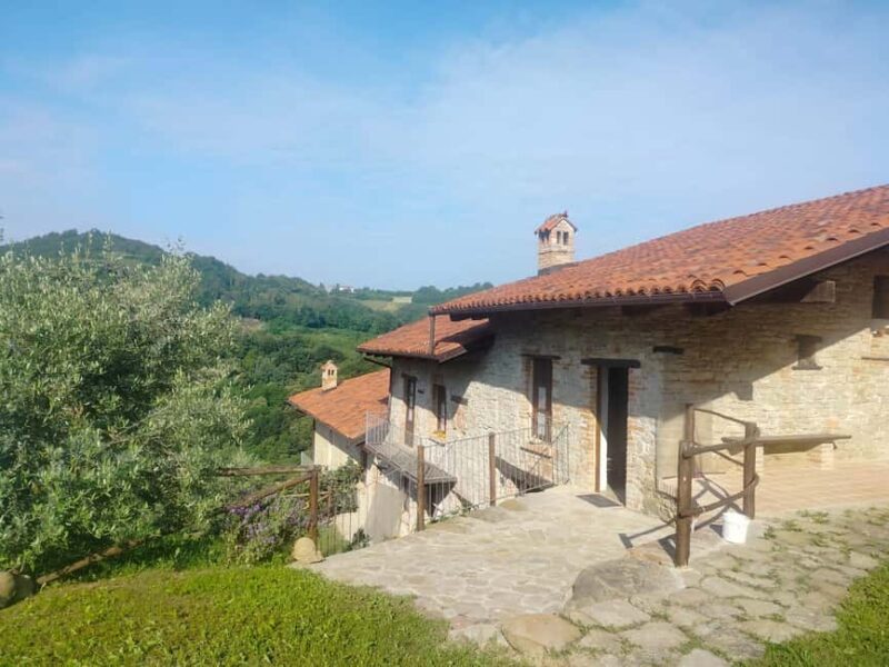 Alba: Truffle Hunting with Cheese, Truffle, & Wine Tastings - The Guides Role in Enhancing the Experience