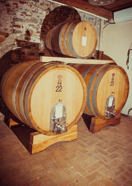 Alba: Wine Tasting and Tour with a Local Producer - Discover Albas Authentic Wine Culture with a Local Producer