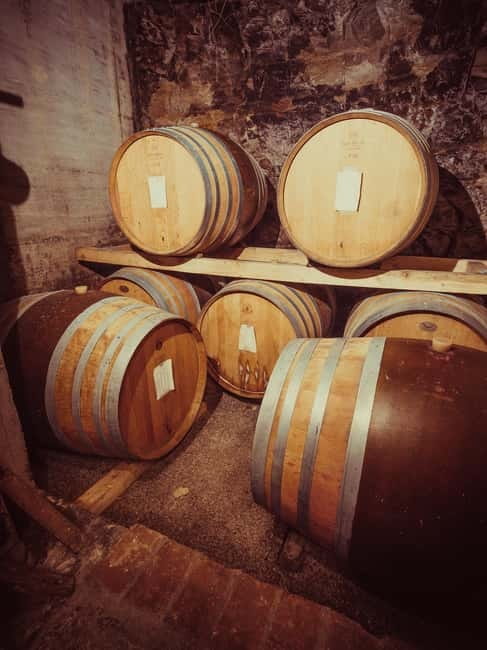 Alba: Wine Tasting and Tour with a Local Producer - Practical Details: Meeting Point, Duration, and Accessibility