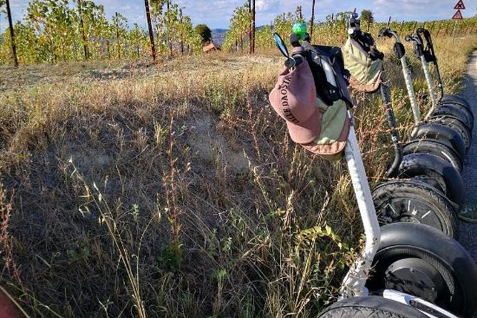 Albahills Segway Tour - Weather and Cancellation Policies
