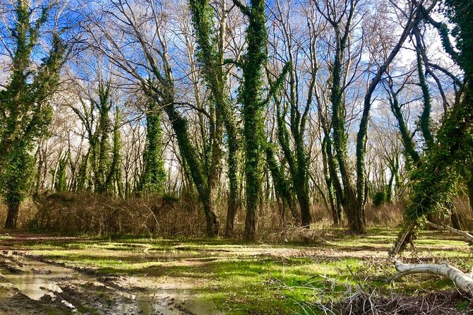 Albania Birdwatching, Kayaking, Bicycle National Park Divjaka Karavasta(ARG) - Whats Included and Whats Not