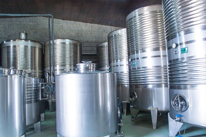 Albariño trails Private Wine Tour/Shore excursion from Vigo - The Authentic Furancho Lunch Experience