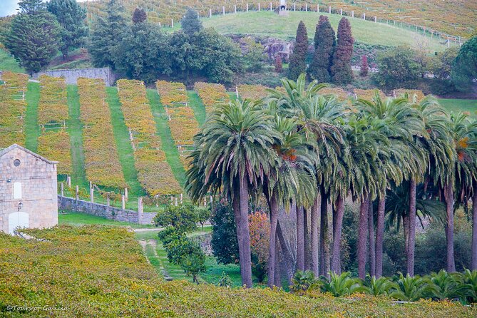 Albariño trails Private Wine Tour/Shore excursion from Vigo - The Experience of the Albariño Trails Tour