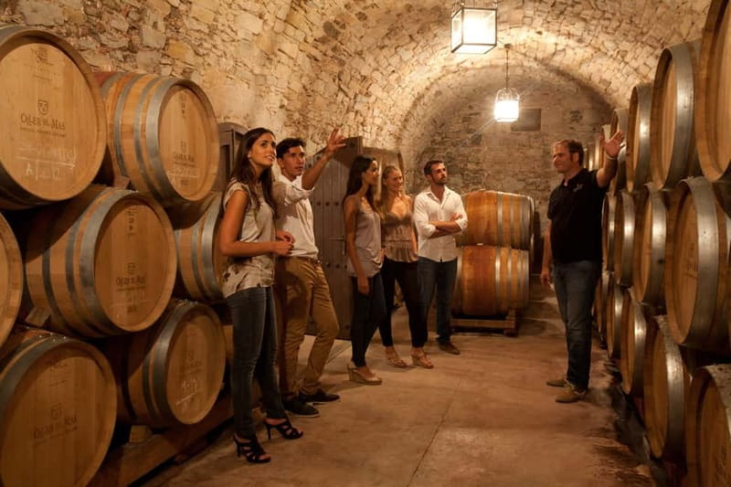 Albariño Wine Tour: Taste, Learn & Take Home a Special Gift - Tour of the Vineyard and Vineyards Highlights
