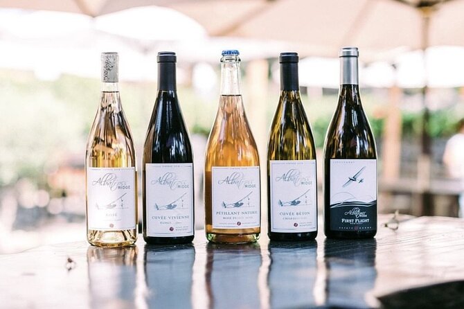 Albatross Ridge Vineyards Electric Bike Tour & Wine Tasting - Meeting Point and Tour Logistics