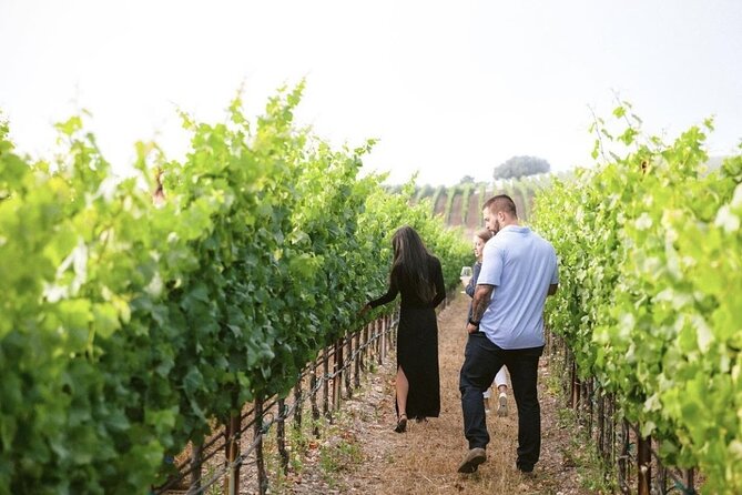 Albatross Ridge Vineyards Electric Bike Tour & Wine Tasting - Cost and Value for the Experience