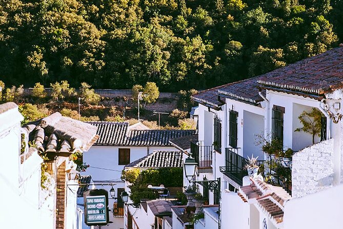 Albayzin and Sacromonte Guided Walking Tour in Granada - Practical Tips and Walking Challenges