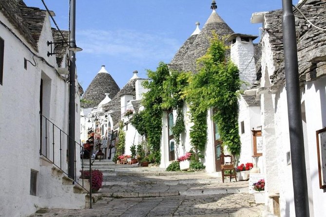 Alberobello and Polignano private walking tour - The Guide’s Expertise and Personalization