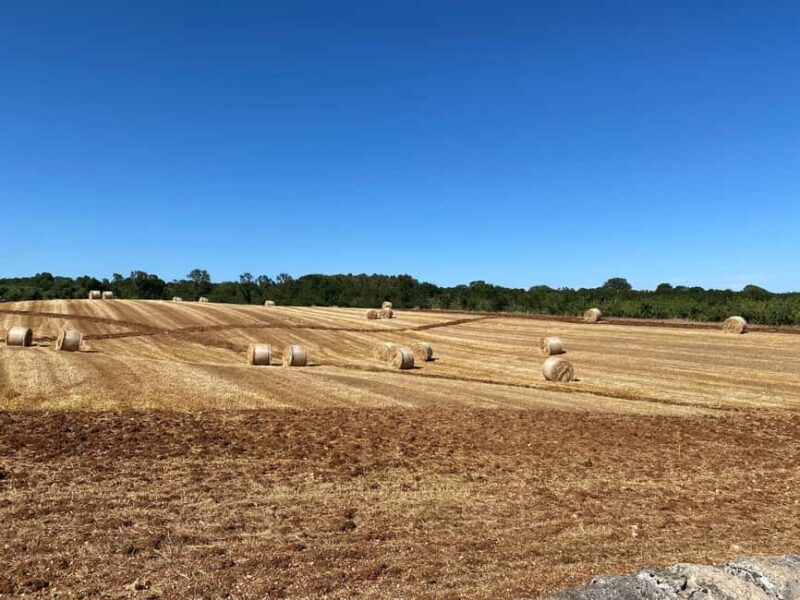 Alberobello: E-Bike Tour to Locorotondo with Ice Cream - Logistics and Group Size