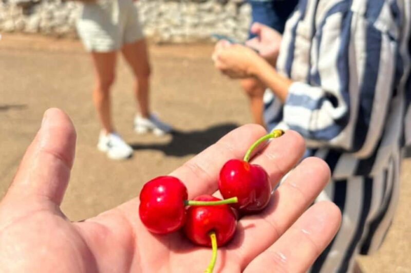 Alberobello: E-Bike Tour with Focaccia and Wine - The Route from Alberobello to Locorotondo