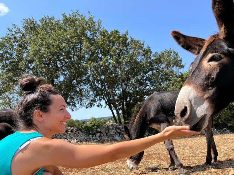 Alberobello e-bike tour with visit to a donkey farm - Meeting Point and Logistics for a Smooth Experience
