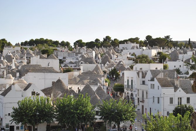 Alberobello Half- Day Tour with extravergine olive oil and Liquores tasting. - Guided Walking Tour of Alberobello’s Trulli Districts