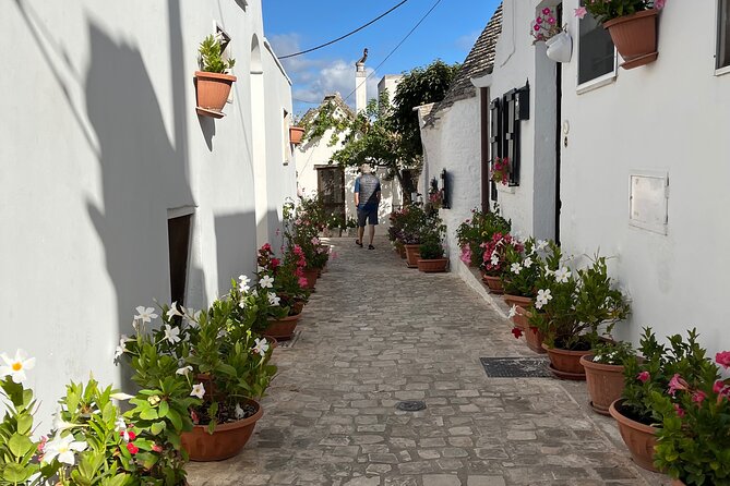 Alberobello & Matera, From Bari with Comfortable Transport - Final Thoughts: An Ideal Choice for Relaxed, Independent Explorers