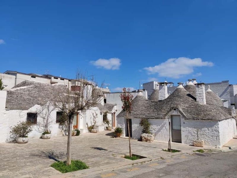 Alberobello & Matera: Full-Day Shared Tour from Bari - Who Should Consider This Tour