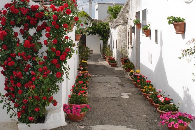 Alberobello&Ostuni&Polignano a Mare - Discovering Ostuni’s White Streets and Breathtaking Views