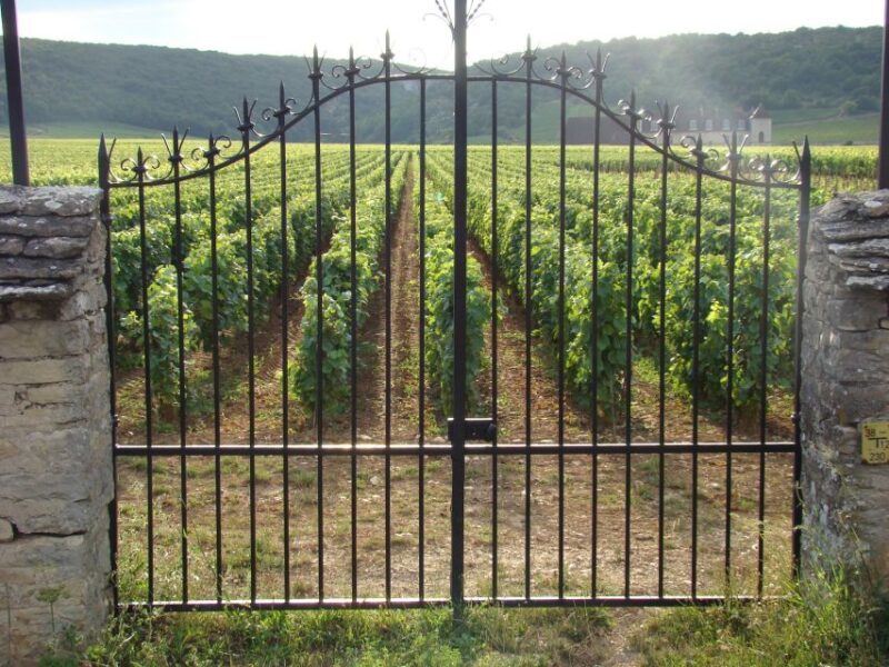 Albi, Cordés-sur-Ciel & Gaillac: Day Trip from Toulouse - Discovering Cordes-sur-Ciel: A Hilltop Village Charm