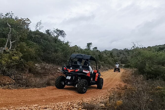 Albufeira 1.5 hour Off-Road Tour Buggy Adventure Tour - Duration and Pacing of the Tour