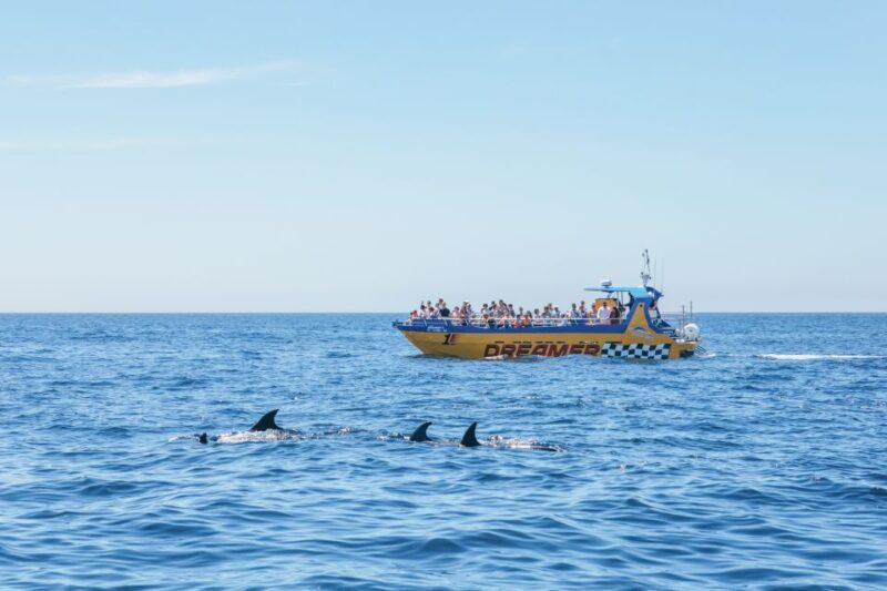Albufeira: 2.5-Hour Benagil Caves & Dolphin Watching - Who Will Appreciate This Tour Most?
