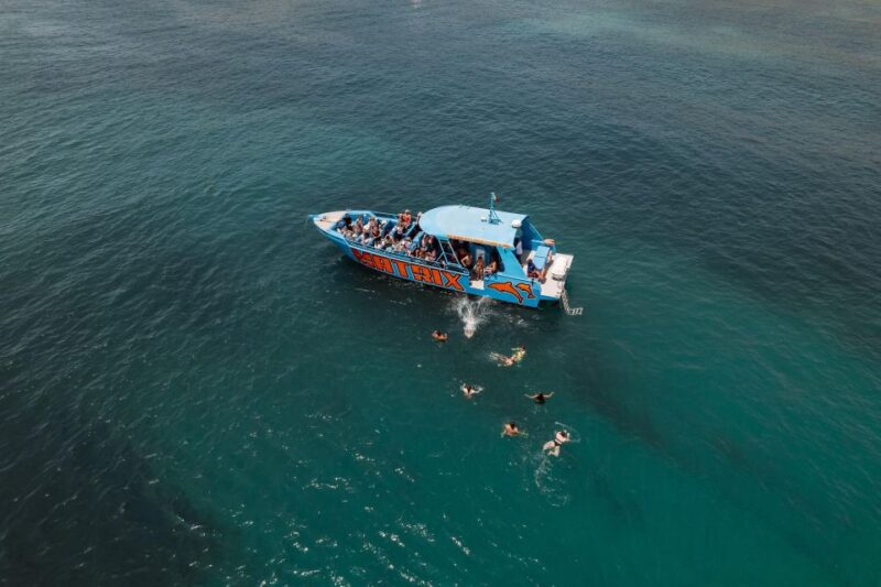 Albufeira: 2.5-Hour Dolphin Watching and Caves Trip - Opportunity to Swim in the Atlantic Ocean