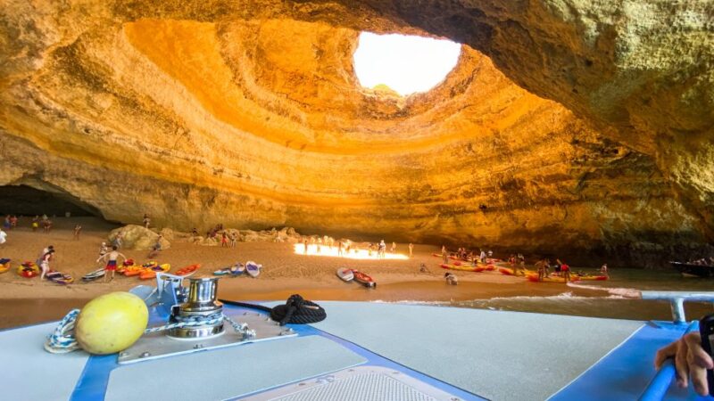 Albufeira: 2.5-Hour Dolphin Watching and Caves Trip - The Crew and Guides: Knowledgeable and Friendly