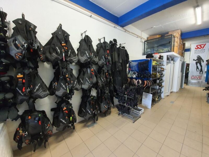 Albufeira: 2 DIVES TRIP (ONLY CERTIFIED DIVERS) - Key Points