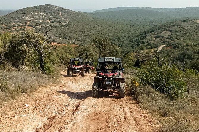 Albufeira 3 hour Off-Road Tour Buggy Adventure Tour - Experience Quality and Guide Expertise