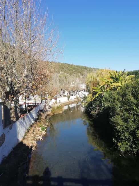 Albufeira: 6 Hour Jeep Tour with Lunch - Cork Oak Tree Visit and Cork Harvesting Demonstration