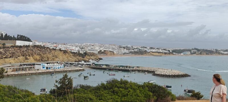 Albufeira: Albufeira Marina & west coast Tour 1.5h - Highlights of the Tour Experience