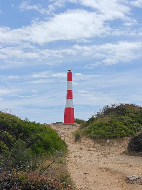 Albufeira: Albufeira Marina & west coast Tour 1.5h - Logistics for a Smooth Experience