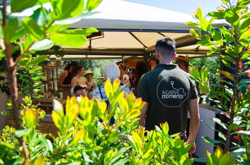 Albufeira: Algarve Traditions & Food Tasting - Tasting Regional Delicacies at a Traditional Restaurant