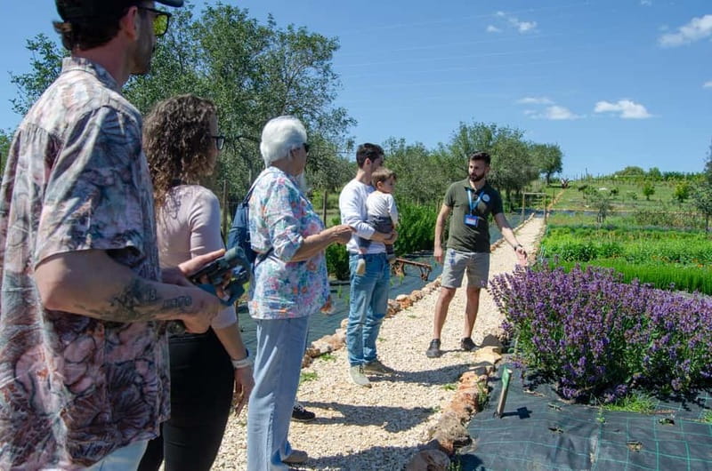 Albufeira: Algarve Traditions & Food Tasting - Why This Tour Offers a Unique Algarve Experience