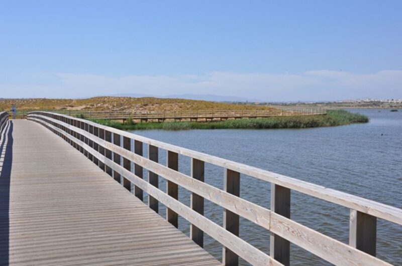 Albufeira: Beaches, Old Town, and Salgados Lagoon Jeep Tour - Coastal and Lagoon Highlights: Salgados Lagoon and Lighthouse