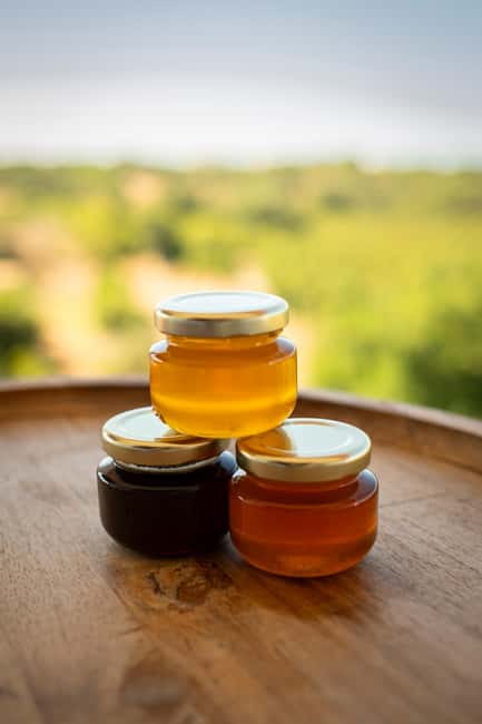 Albufeira: Beekeeping Experience with Honey Tasting - The Thrill of Opening a Hive and Observing Bees at Work