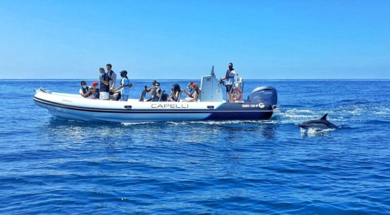 Albufeira: Benagil Cave and Dolphin Sightseeing Boat Cruise - What the Boat Looks Like and Safety Measures