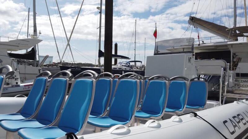 Albufeira: Benagil Cave and Dolphin Sightseeing Boat Cruise - Comparing This Tour with Similar Options