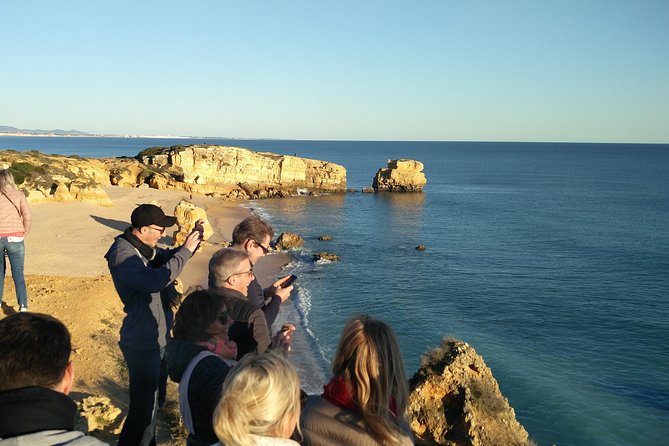 Albufeira: City Highlights & WINE TASTING - Who Will Enjoy This Tour Most?