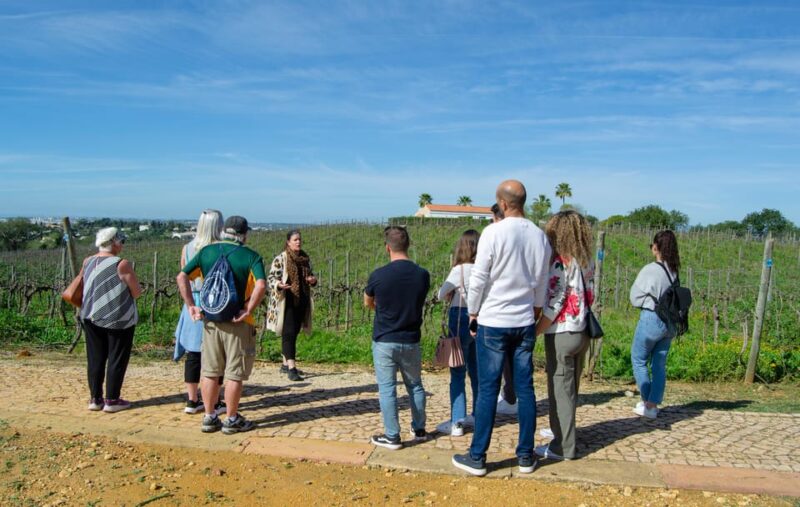 Albufeira: City Highlights & WINE TASTING - Explore the Best of Albufeira with a 3.5-Hour Guided Tour and Wine Tasting
