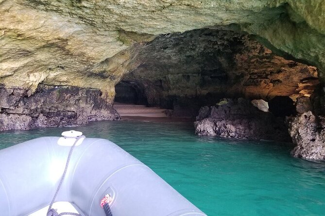 Albufeira: Dolphins and Caves Tour - The Role of Guides and Crew